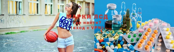 прущий лед Вяземский