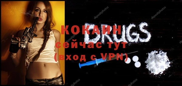 прущий лед Вяземский