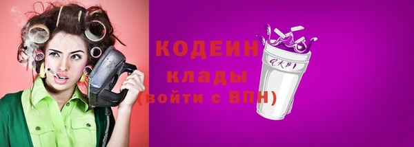 прущий лед Вяземский