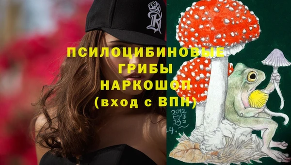 прущий лед Вязники
