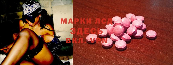 прущий лед Вяземский