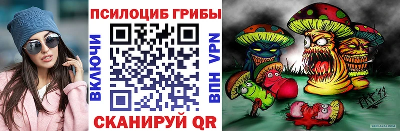 Купить где  Электросталь  Псилоцибиновые грибы прущие грибы 